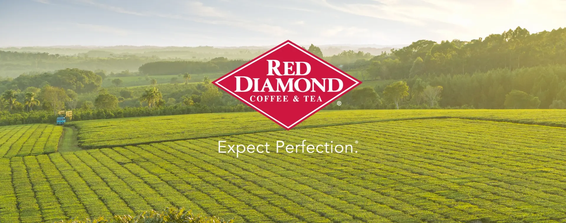Red Diamond - Expect Perfection