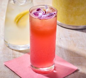 Hibiscus Fizz Tea